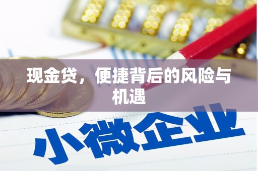 连平现金贷，便捷背后的风险与机遇