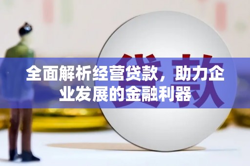连平全面解析经营贷款，助力企业发展的金融利器