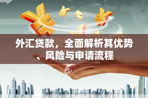 连平外汇贷款，全面解析其优势、风险与申请流程