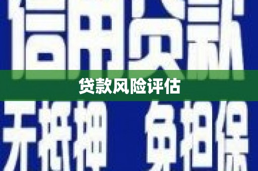 连平贷款风险评估