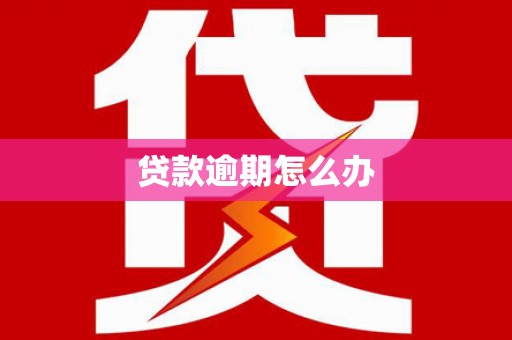 连平贷款逾期怎么办