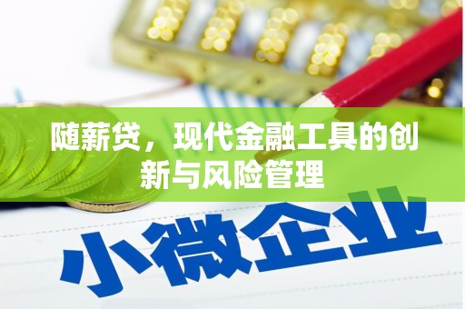 连平随薪贷，现代金融工具的创新与风险管理