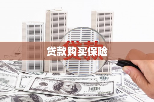 连平贷款购买保险