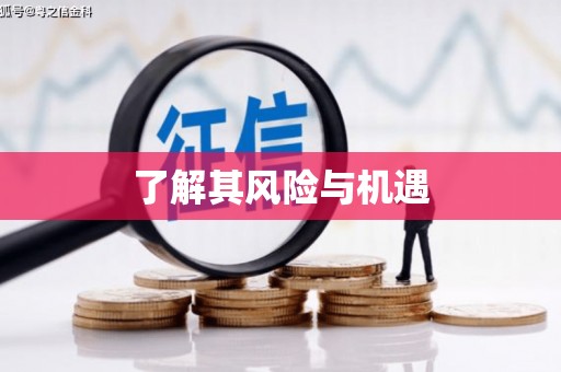 连平了解其风险与机遇