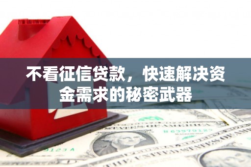 连平不看征信贷款，快速解决资金需求的秘密武器