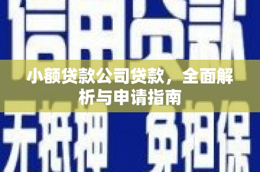 连平小额贷款公司贷款，全面解析与申请指南