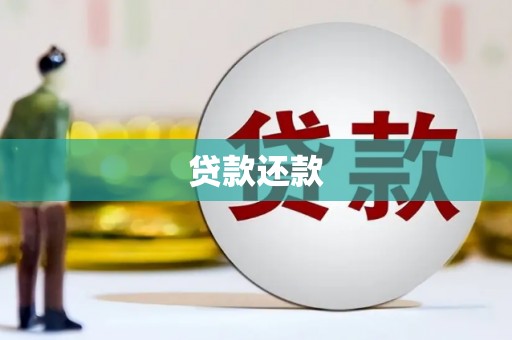 连平贷款还款