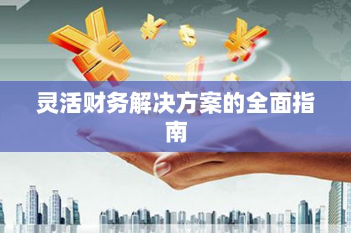 连平灵活财务解决方案的全面指南