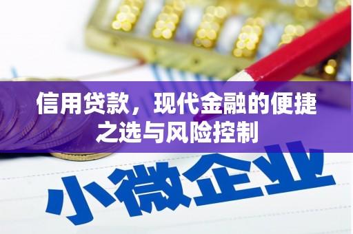 连平信用贷款，现代金融的便捷之选与风险控制