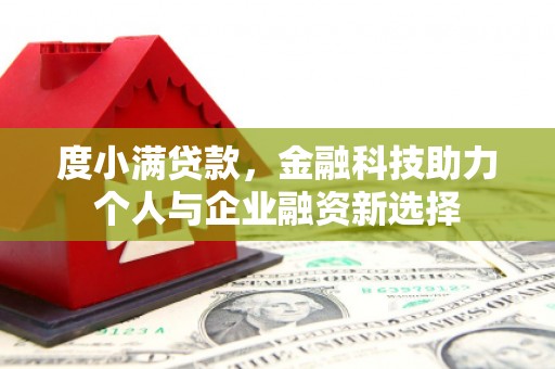 连平度小满贷款，金融科技助力个人与企业融资新选择