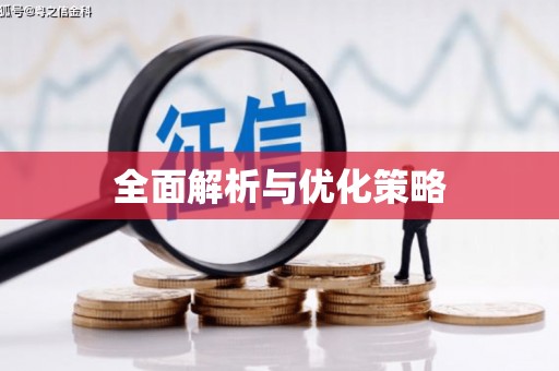连平全面解析与优化策略