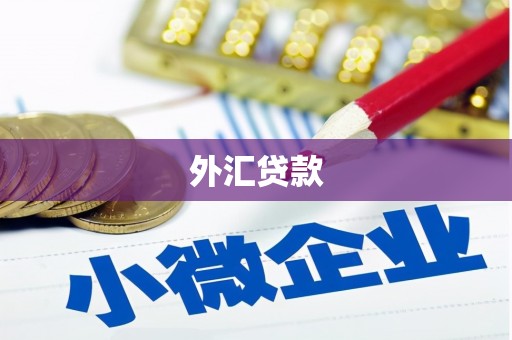 连平外汇贷款