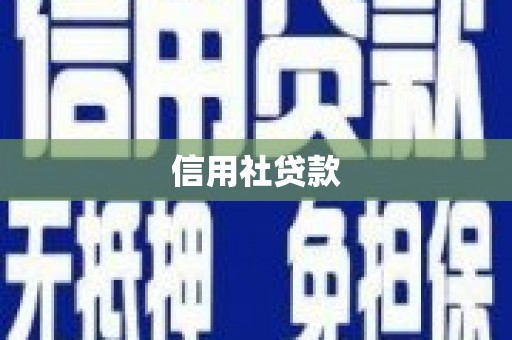 连平信用社贷款