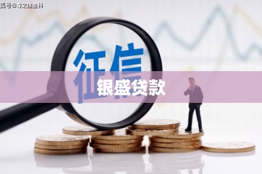 连平银盛贷款