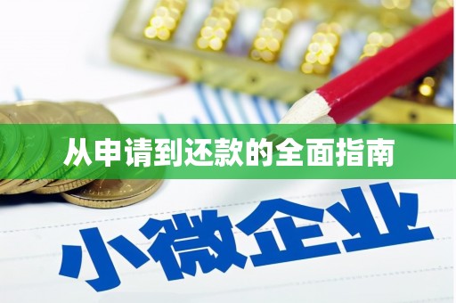 连平从申请到还款的全面指南