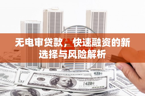 连平无电审贷款，快速融资的新选择与风险解析