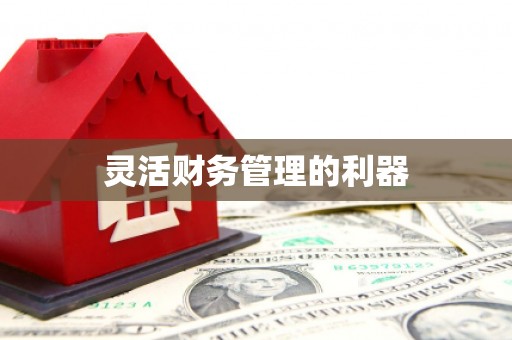 连平灵活财务管理的利器