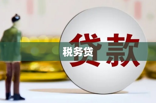连平税务贷