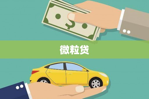 连平微粒贷