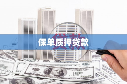 连平保单质押贷款