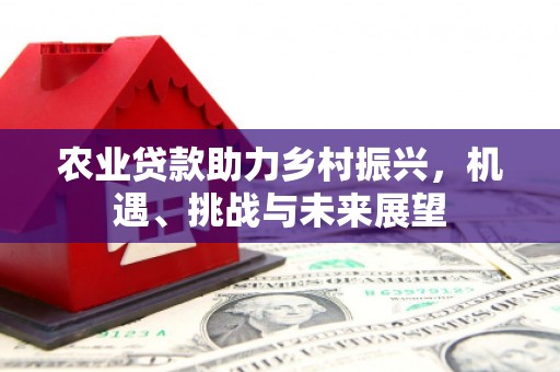 连平农业贷款助力乡村振兴，机遇、挑战与未来展望