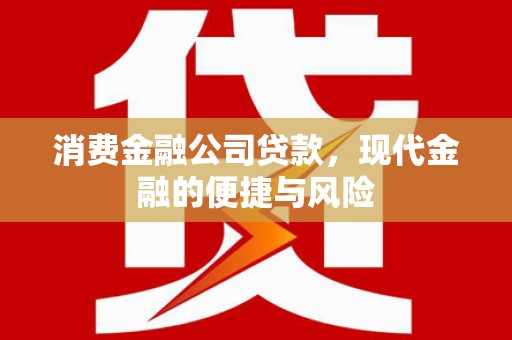 连平消费金融公司贷款，现代金融的便捷与风险