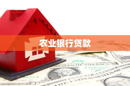 连平农业银行贷款