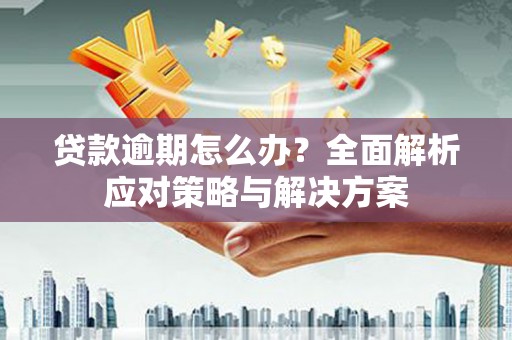 连平贷款逾期怎么办？全面解析应对策略与解决方案