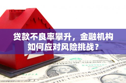 连平贷款不良率攀升，金融机构如何应对风险挑战？