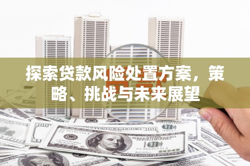 连平探索贷款风险处置方案，策略、挑战与未来展望