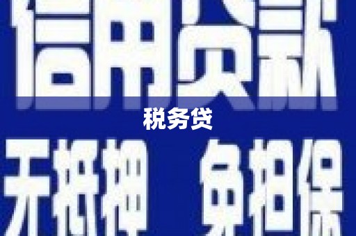 连平税务贷
