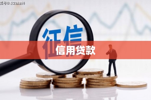 连平信用贷款