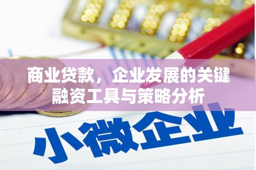 连平商业贷款，企业发展的关键融资工具与策略分析