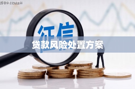 连平贷款风险处置方案