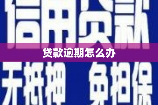 连平贷款逾期怎么办