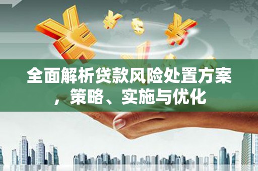 连平全面解析贷款风险处置方案，策略、实施与优化