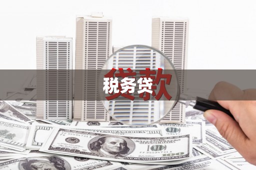 连平税务贷