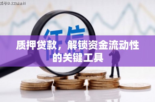 连平质押贷款，解锁资金流动性的关键工具