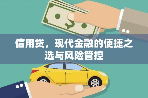 连平信用贷，现代金融的便捷之选与风险管控
