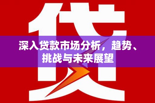 连平深入贷款市场分析，趋势、挑战与未来展望