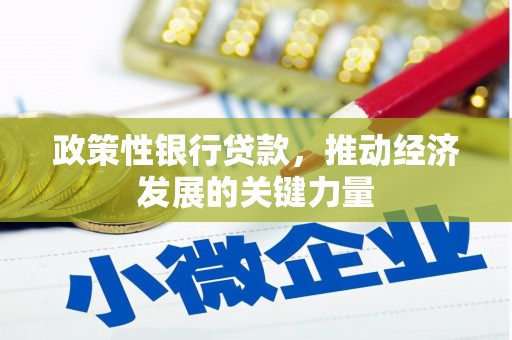 连平政策性银行贷款，推动经济发展的关键力量