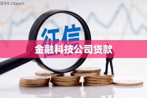 连平金融科技公司贷款