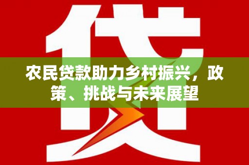 连平农民贷款助力乡村振兴，政策、挑战与未来展望