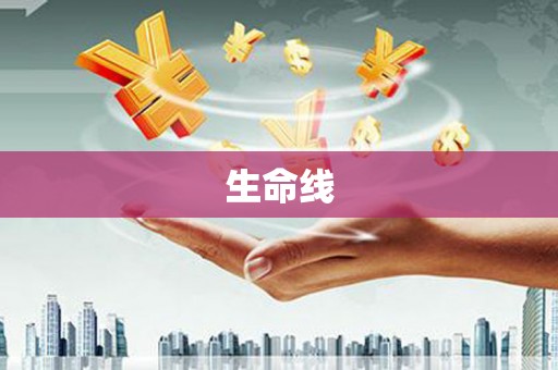 连平生命线