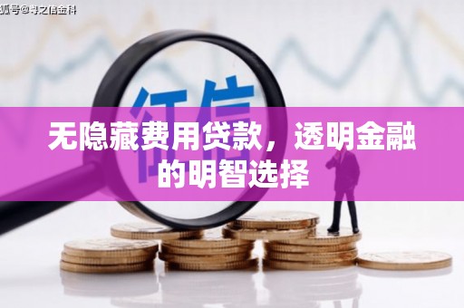 连平无隐藏费用贷款，透明金融的明智选择