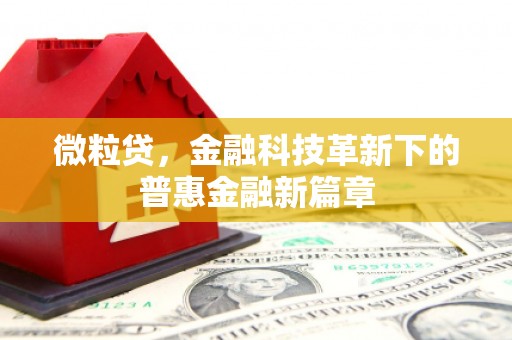 连平微粒贷，金融科技革新下的普惠金融新篇章