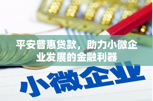 连平平安普惠贷款，助力小微企业发展的金融利器