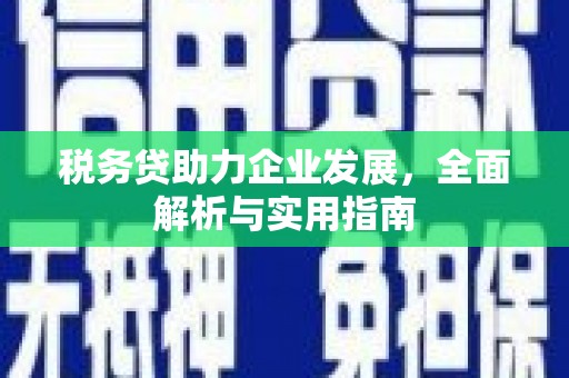 连平税务贷助力企业发展，全面解析与实用指南