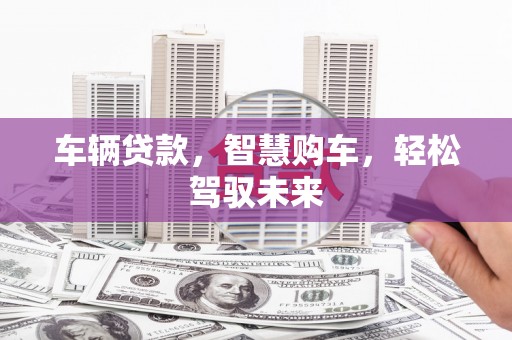 连平车辆贷款，智慧购车，轻松驾驭未来