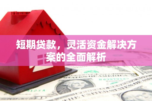 连平短期贷款，灵活资金解决方案的全面解析
